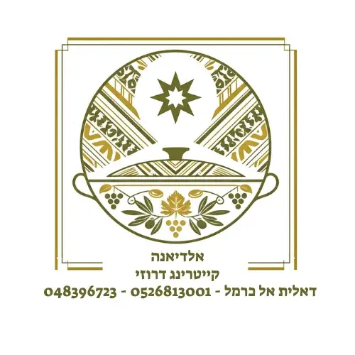 נועה לוי